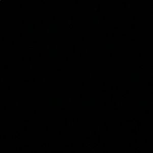 Meet your Posher, Arielle